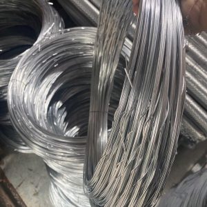 KẼM TRẮNG VN (CHIA TÉP KHOANH SẴN)