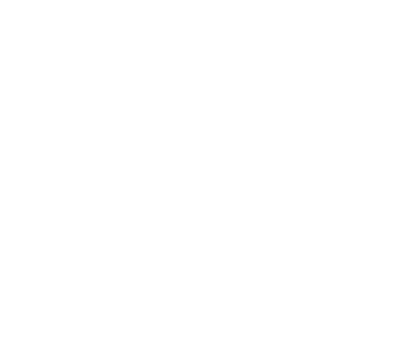 zaloicon