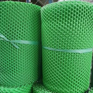LƯỚI NHỰA KHÔNG XANH THƯỜNG 1F 5 TẤT
