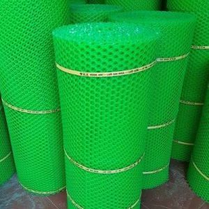 LƯỚI NHỰA KHÔNG XANH ZIN Ô 1F 5 TẤT