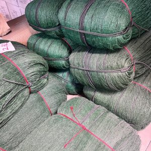 LƯỚI GÀ MÀU RÊU